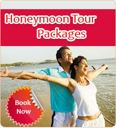 honeymoon Tour