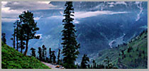Manali Volvo Tour Package 