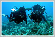 Bangaram Island
