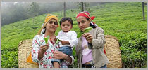 Best of Malabar