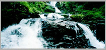 Cool Coorg