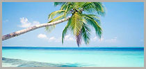 Goa