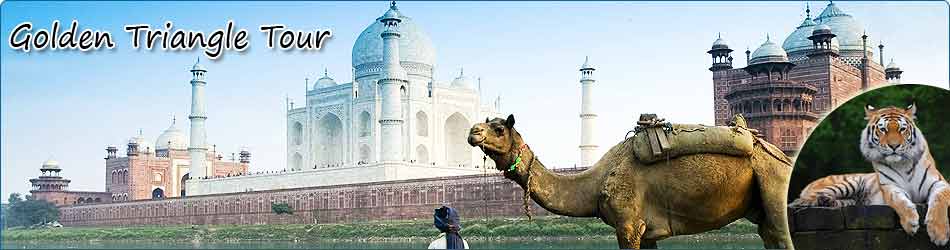 golden triangle tour