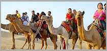 Golden Triangle Tour with Pushkar