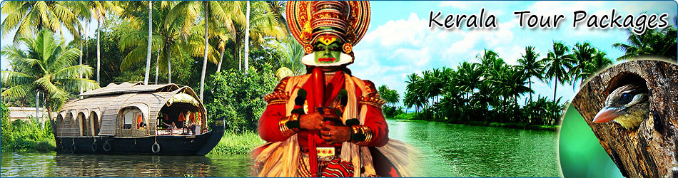 Kerala Backwater