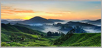 Majestic Kerala Hill Tour