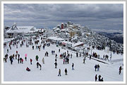 Shimla