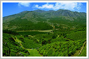 Munnar